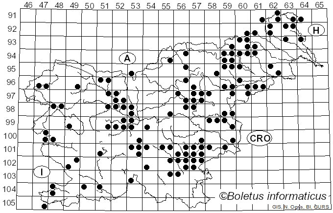 <i>Psathyrella piluliformis</i> (Bull.) P.D. Orton (1969)