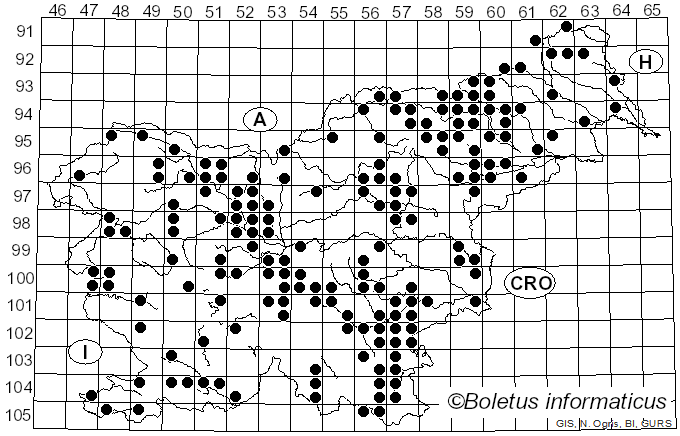 <i>Lentinus</i> Fr. (1825)