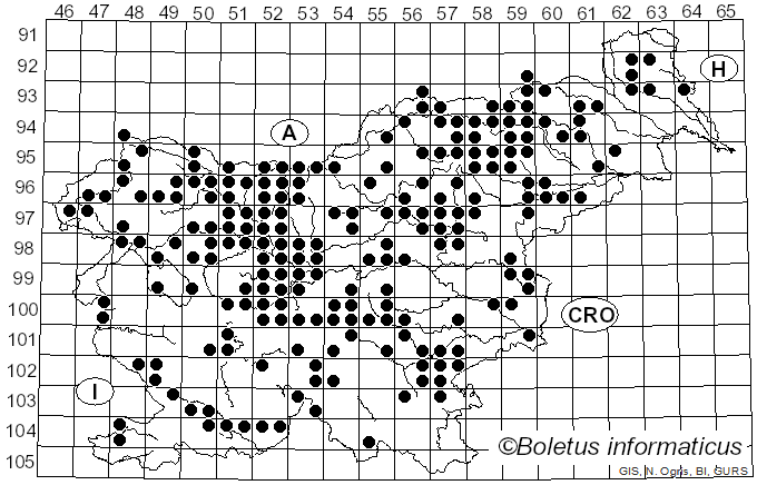 <i>Suillus grevillei</i> (Klotzsch) Singer (1951)