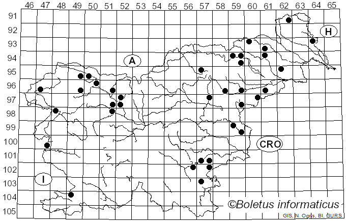 <i>Parasola conopilea</i> (Fr.) Örstadius & E. Larss. (2008)
