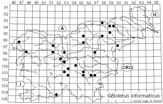 <i>Coltricia cinnamomea</i> (Jacq.) Murrill (1904)