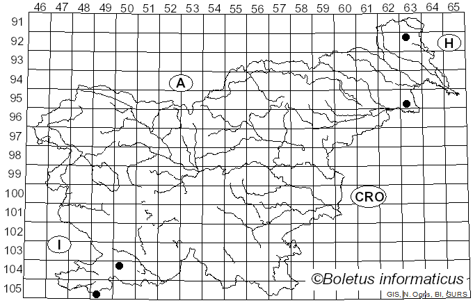 <i>Arachnopeziza aurelia</i> (Pers.) Fuckel (1870)
