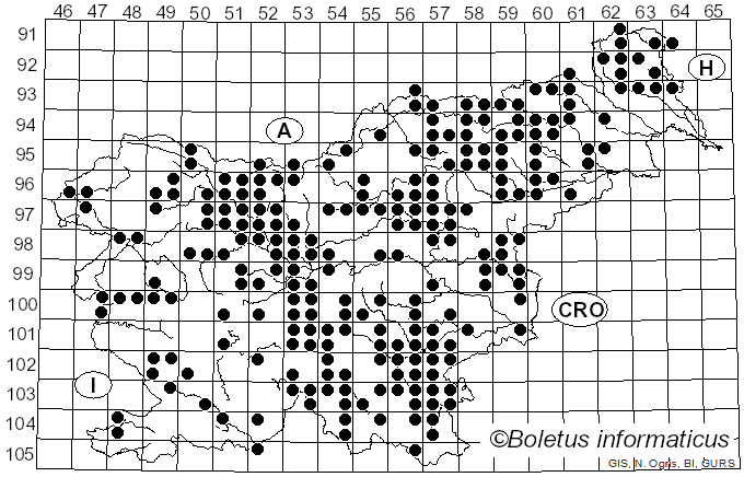 <i>Pseudohydnum gelatinosum</i> (Scop.) P. Karst. (1868)