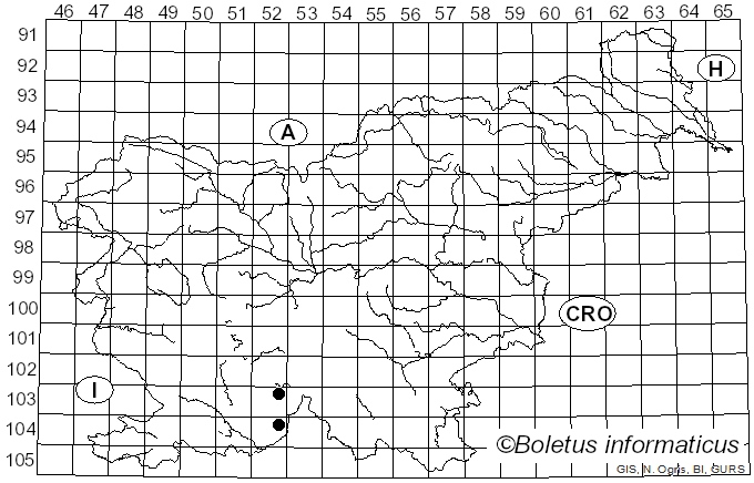 <i>Megalospora tuberculosa</i> (Fée) Sipman (1983)