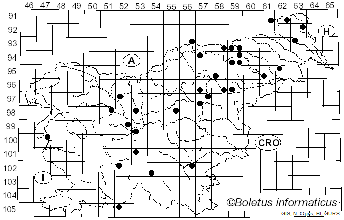<i>Leucoagaricus nympharum</i> (Kalchbr.) Bon (1977)