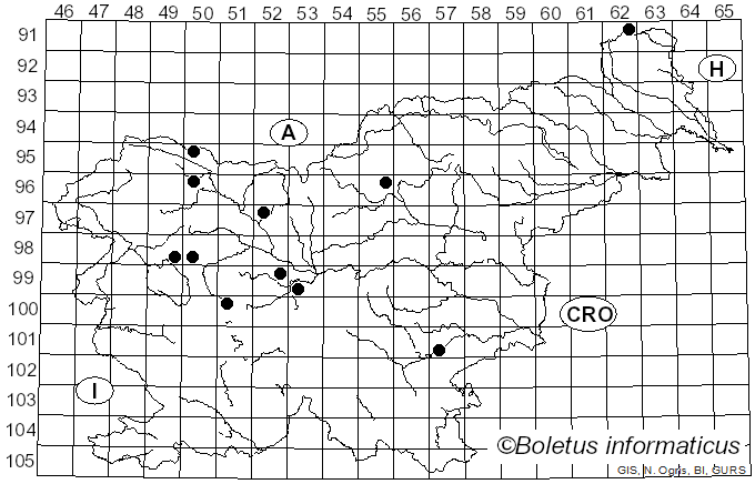 <i>Hydnellum geogenium</i> (Fr.) Banker (1913)