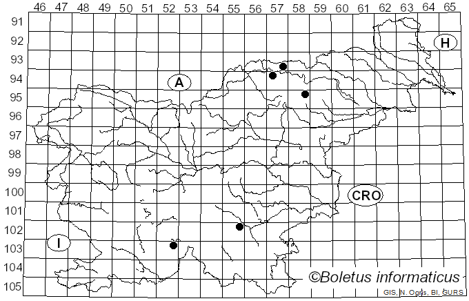<i>Haematomma</i> A. Massal. (1852)