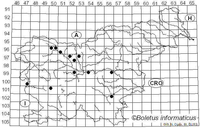 <i>Colpoma quercinum</i> (Pers.) Wallr. (1823)