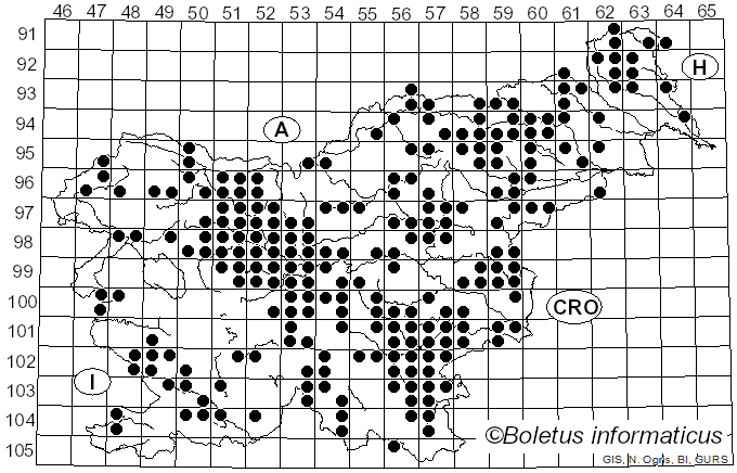 <i>Hypholoma lateritium</i> (Schaeff.) P. Kumm. (1871)