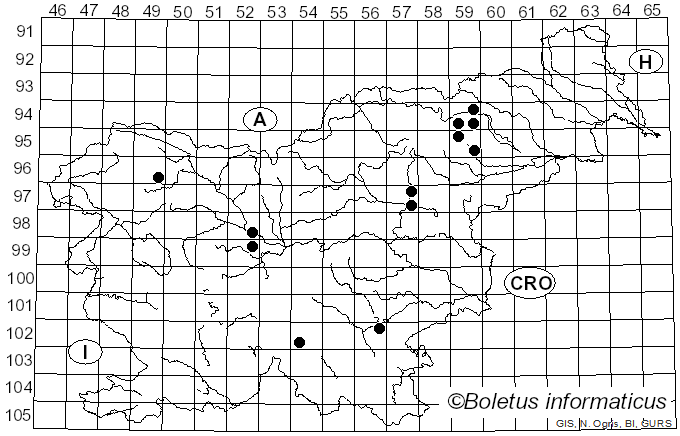 <i>Sebacina epigaea</i> (Berk. & Broome) Bourdot & Galzin (1928)