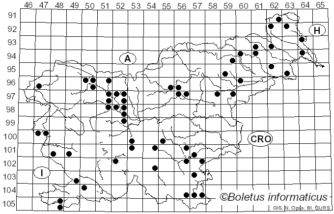 <i>Fomitiporia</i> Murrill (1907)