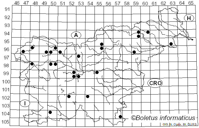 <i>Diatrypella favacea</i> (Fr.) Ces. & De Not. (1863)