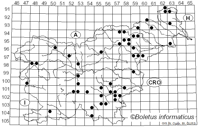 <i>Xylodon radula</i> (Fr.) Ţura, Zmitr., Wasser & Spirin (2011)