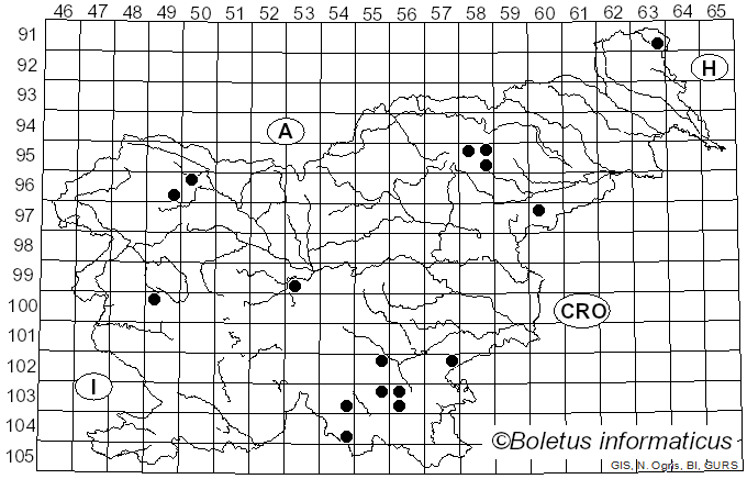 <i>Dentipellis fragilis</i> (Pers.) Donk (1962)