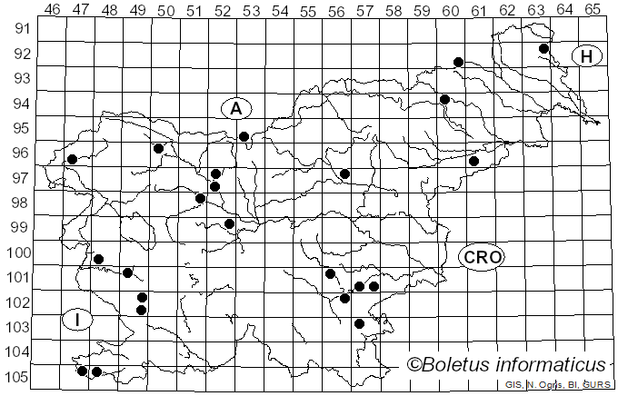 <i>Volvopluteus</i> Vizzini, Contu & Justo (2011)