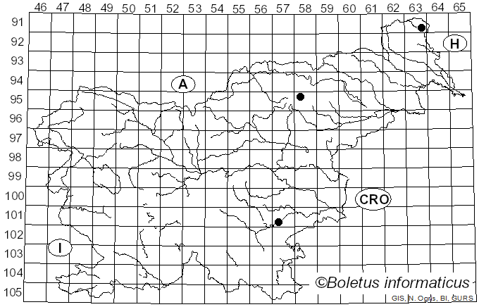 <i>Chlorophyllum molybdites</i> (G. Mey.) Massee (1898)