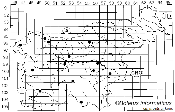 <i>Arcyria cinerea</i> (Bull.) Pers. (1801)