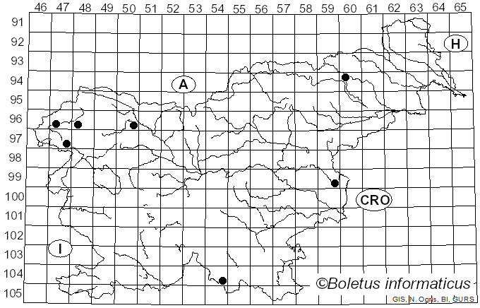 <i>Fomitopsis malicola</i> (Berk. & M.A. Curtis) Spirin (2024)