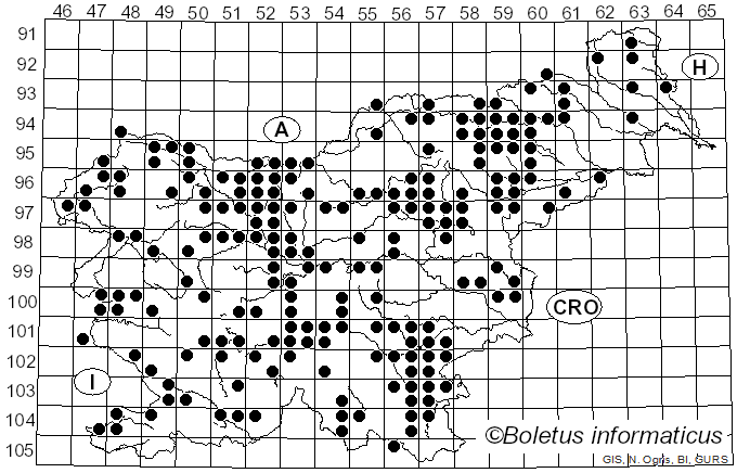 <i>Geastrum</i> Pers. (1794)