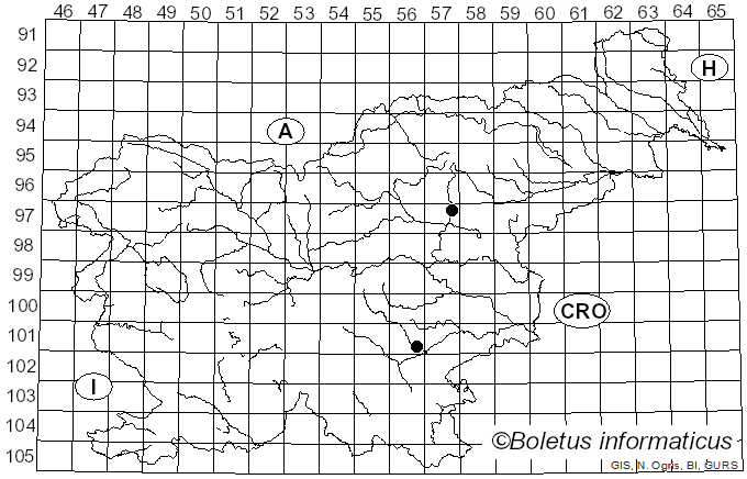 <i>Cortinarius tomentosus</i> Rob. Henry (1985)