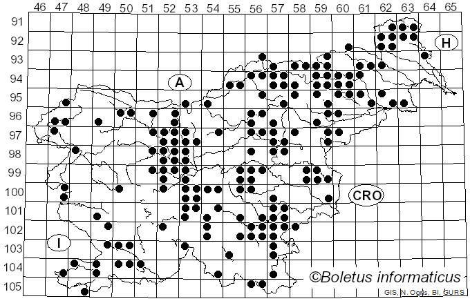 <i>Auricularia auricula-judae</i> (Bull.) Quél. (1886)