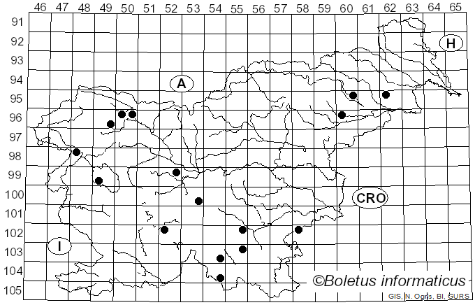 <i>Phanerochaete</i> P. Karst. (1889)