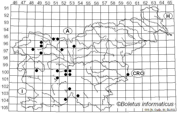 <i>Platycheirus albimanus</i> Fabricius (1781)