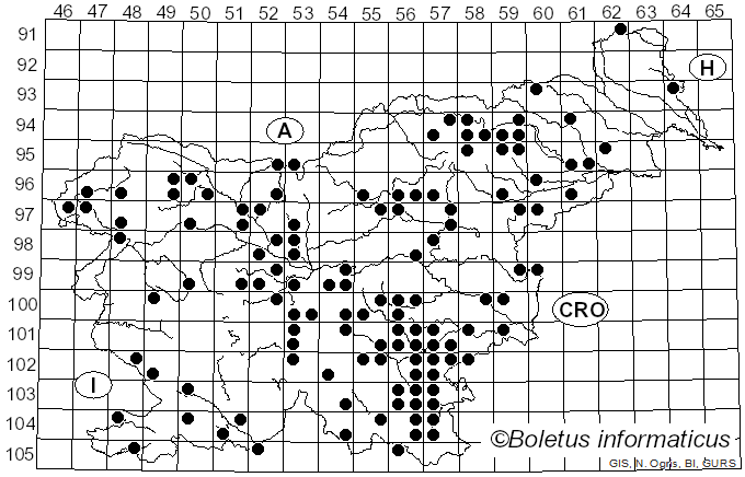 <i>Pleurotus pulmonarius</i> (Fr.) Quél. (1872)