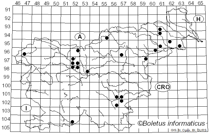<i>Chlorophyllum olivieri</i> (Barla) Vellinga (2002)