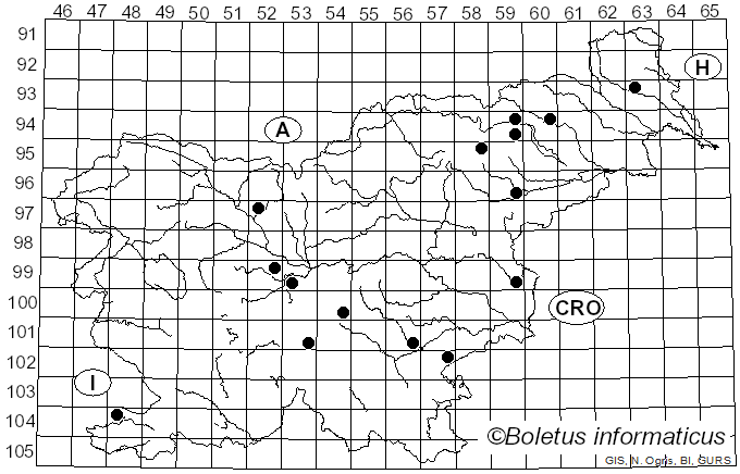 <i>Calonarius sodagnitus</i> (Rob. Henry) Niskanen & Liimat. (2022)