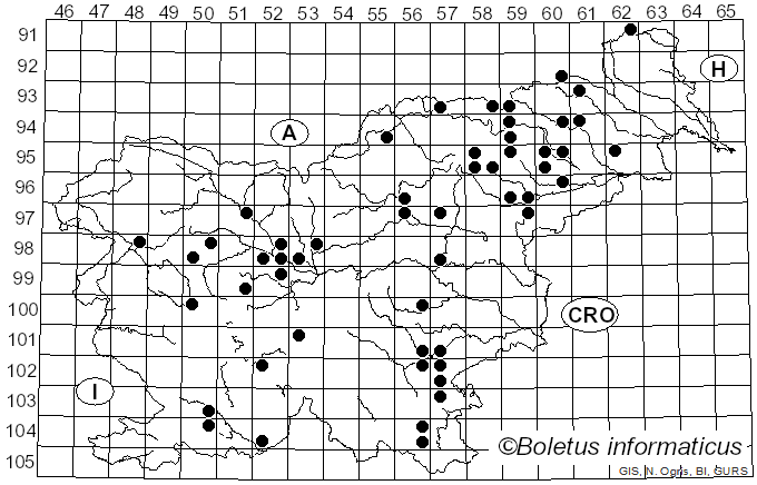 <i>Pseudoboletus</i> Šutara (1991)