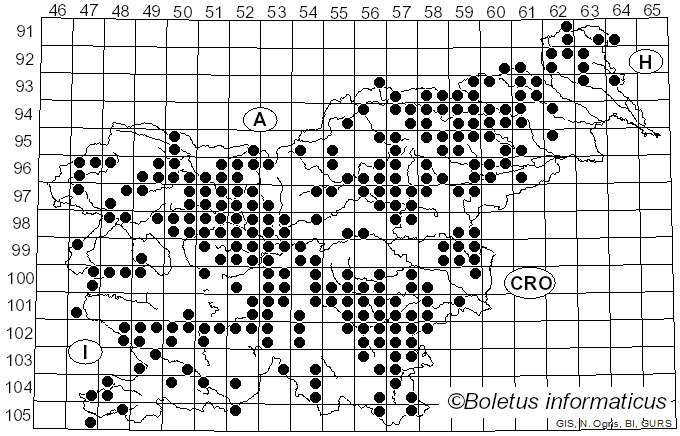 <i>Lycoperdon perlatum</i> Pers. (1796)