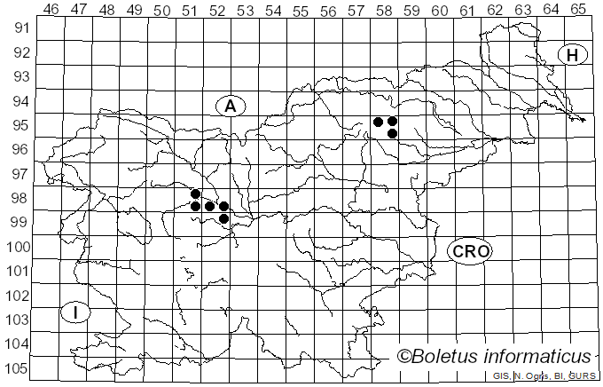 <i>Vibrissea truncorum</i> (Alb. & Schwein.) Fr. (1822)
