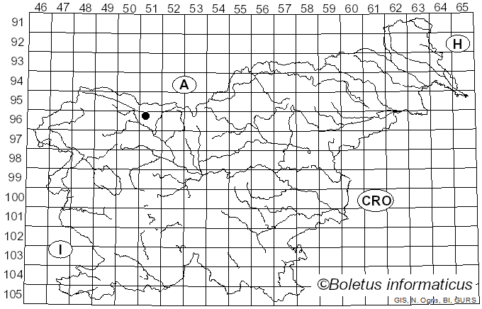 <i>Aethalium septicum</i> var. <i>vaporarium</i> Rabenh.