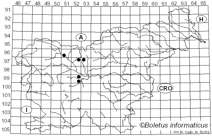 <i>Excipula</i> Fr. (1823)