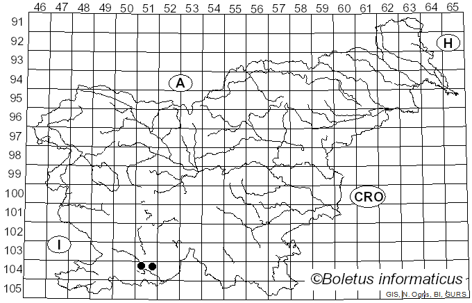 <i>Leptographium procerum</i> (W.B. Kendr.) M.J. Wingf. (1985)
