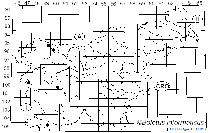 <i>Puccinia bromina</i> Erikss. (1899)