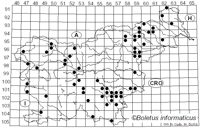 <i>Crepidotus cesatii</i> (Rabenh.) Sacc. (1877)