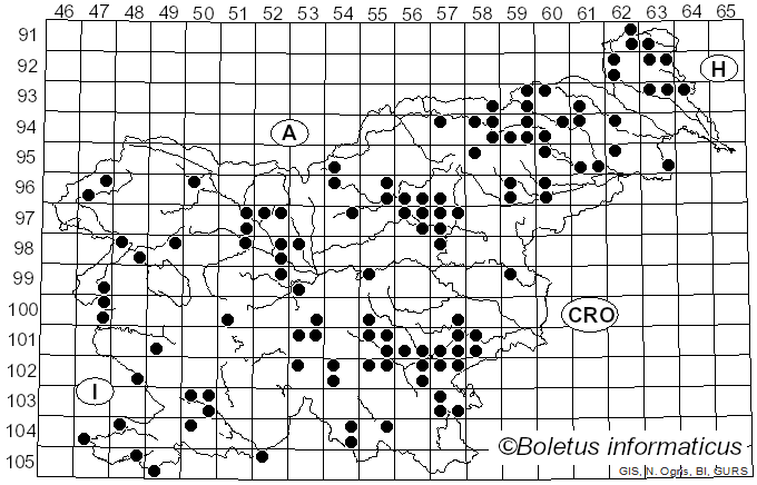 <i>Hapalopilus</i> P. Karst. (1881)