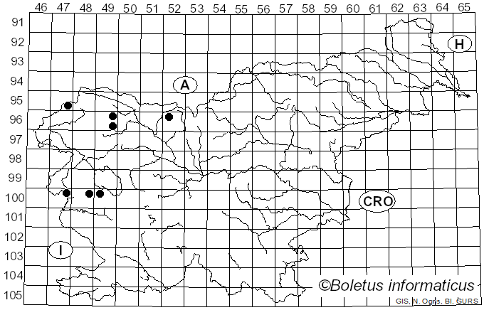 <i>Rhodophana nitellina</i> (Fr.) Papetti (2014)