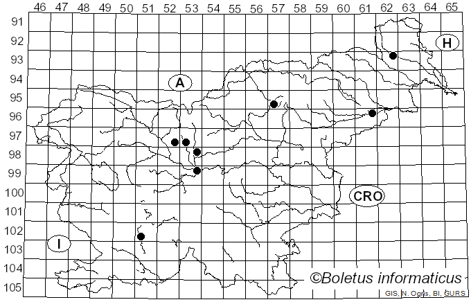 <i>Pestalotiopsis</i> Steyaert (1949)