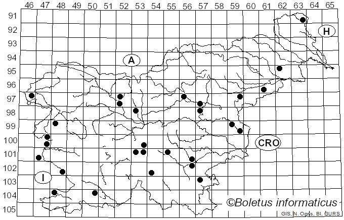 <i>Psilocybe coronilla</i> (Bull.) Noordel. (1995)