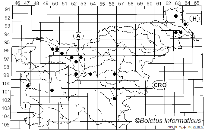 <i>Colpoma quercinum</i> (Pers.) Wallr. (1823)