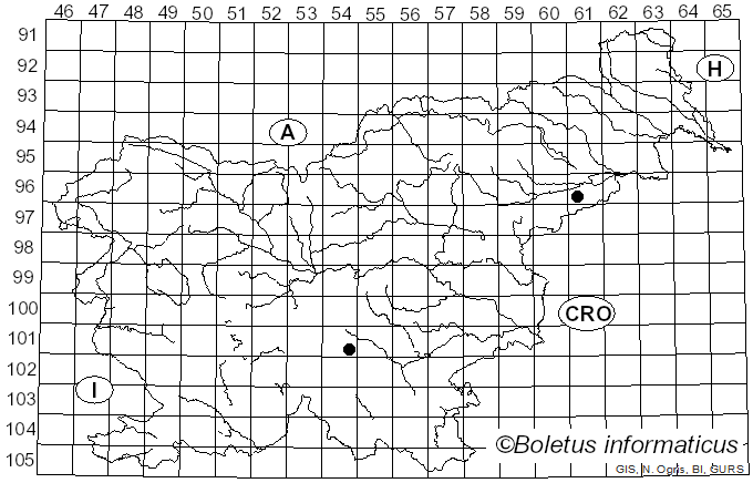 <i>Panaeolus subfirmus</i> P. Karst. (1889)