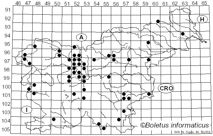 <i>Disciotis venosa</i> (Pers.) Arnould (1893)
