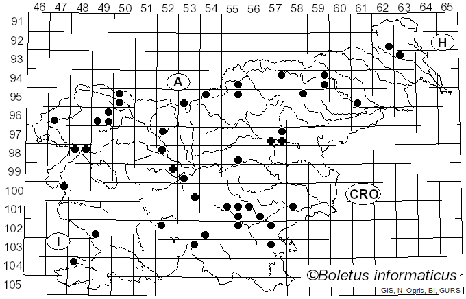 <i>Amanita umbrinolutea</i> (Secr. ex Gillet) Bertill. (1910)