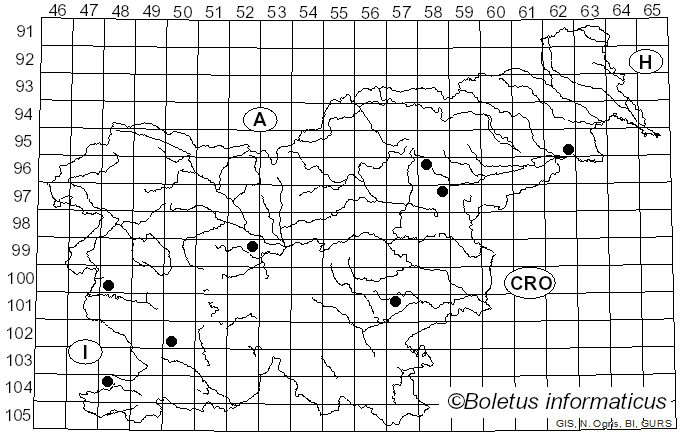 <i>Aceria eriobia</i> subsp. <i>eriobia</i> Nal.
