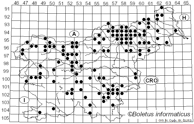 <i>Dacrymyces</i> Nees (1816)