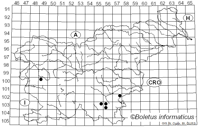 <i>Puccinia dentariae</i> (Alb. & Schwein.) Fuckel (1871)