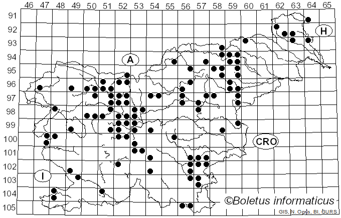 <i>Aleuria aurantia</i> (Pers.) Fuckel (1870)
